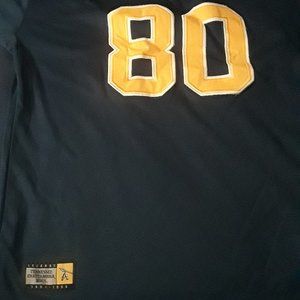 Terrell Owens Throwback College Jersey